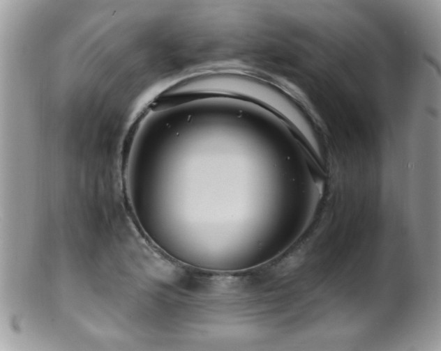 X0000099491176200805151359