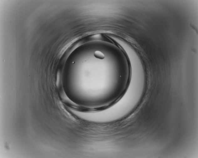 X0000099491177200805151359