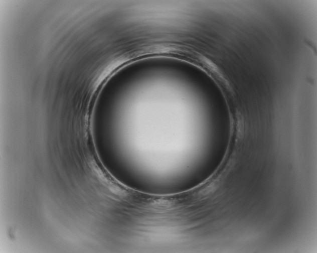 X0000099491178200805151359