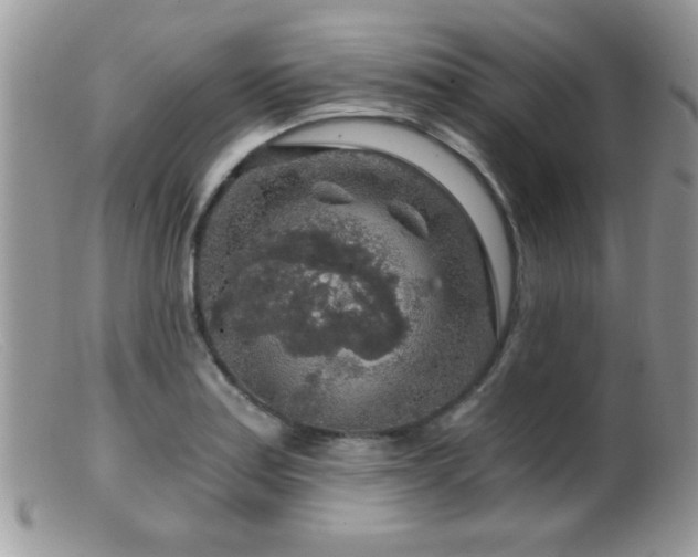 X0000099491179200805151359
