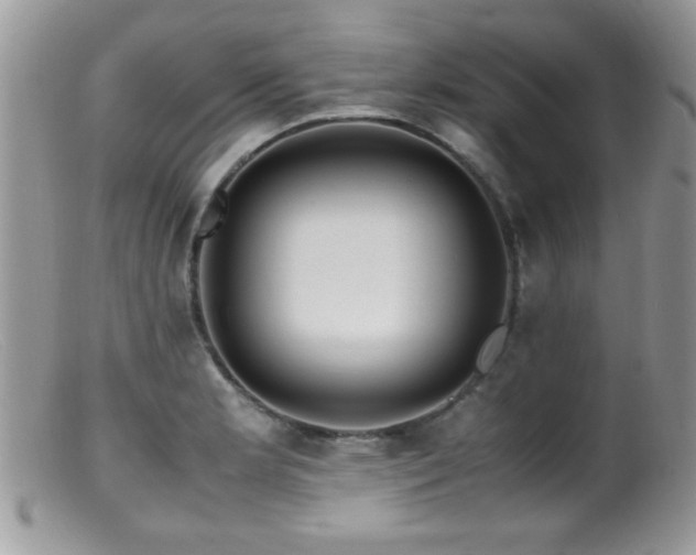 X0000099491181200805151359