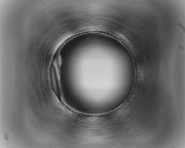 X0000099491182200805151359