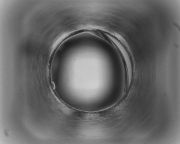 X0000099491183200805151359