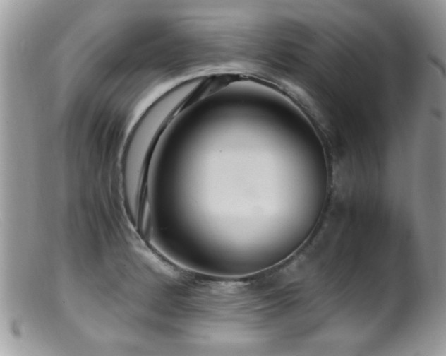 X0000099491184200805151359