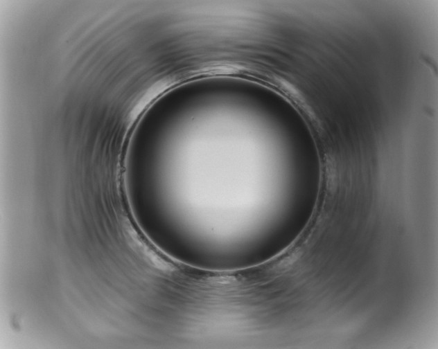 X0000099491186200805151359