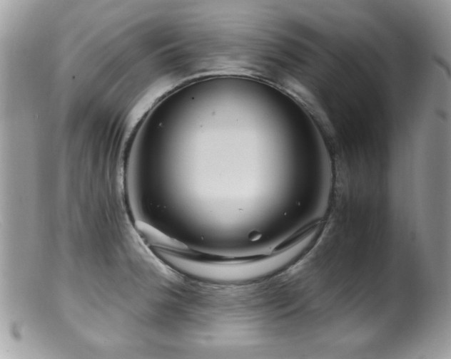X0000099491188200805151359