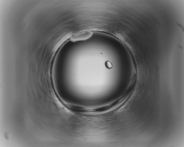 X0000099491189200805151359