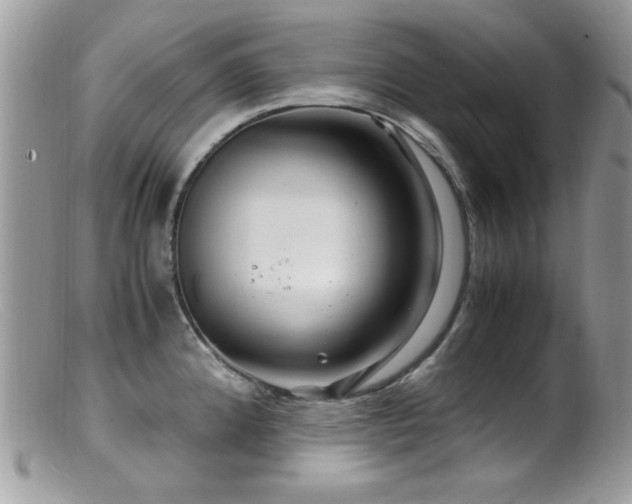 X0000099491192200805151359