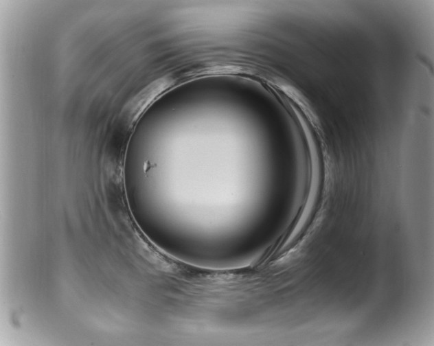 X0000099491193200805151359