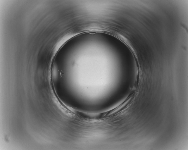 X0000099491195200805151359