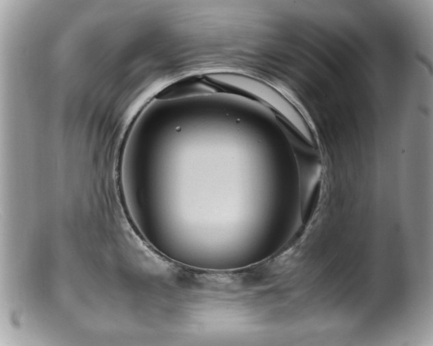 X0000099491197200805151359