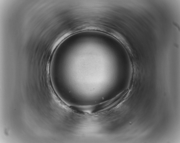 X0000099491198200805151359