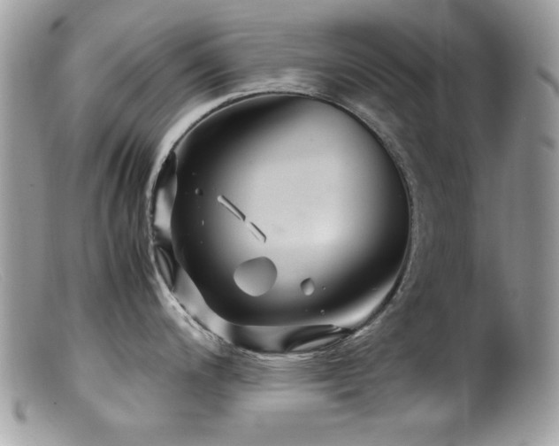 X0000099491200200805151359