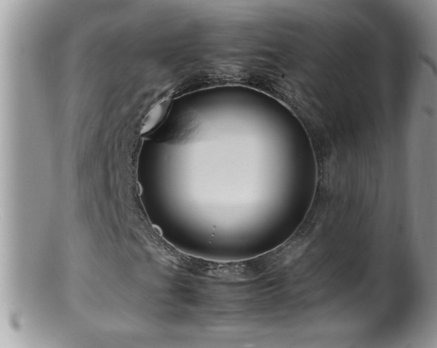 X0000099491201200805151358