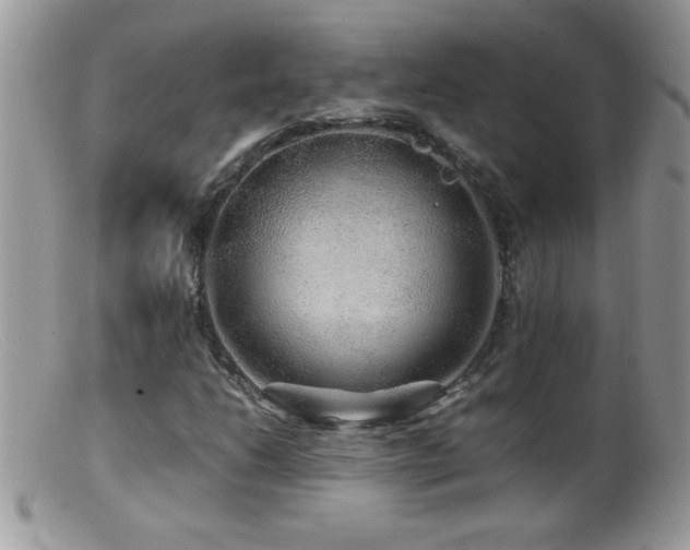 X0000099491206200805151358