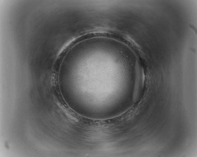 X0000099491208200805151358
