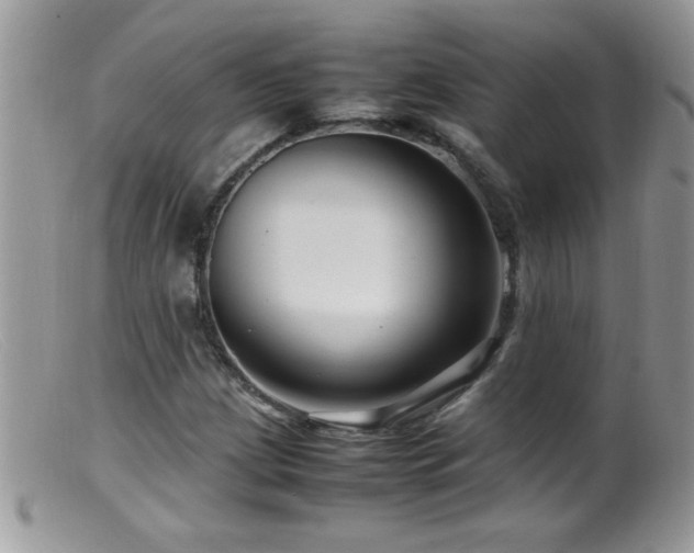 X0000099491209200805151358