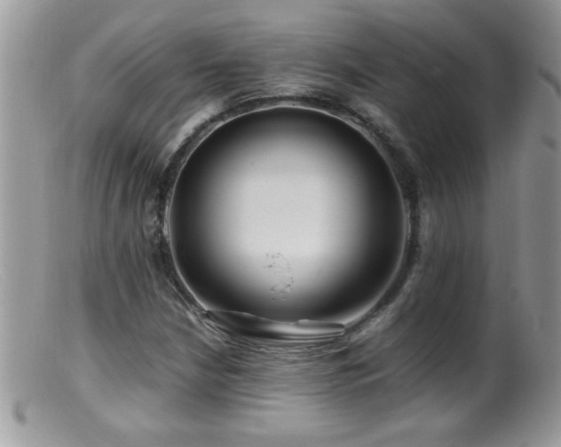 X0000099491210200805151358
