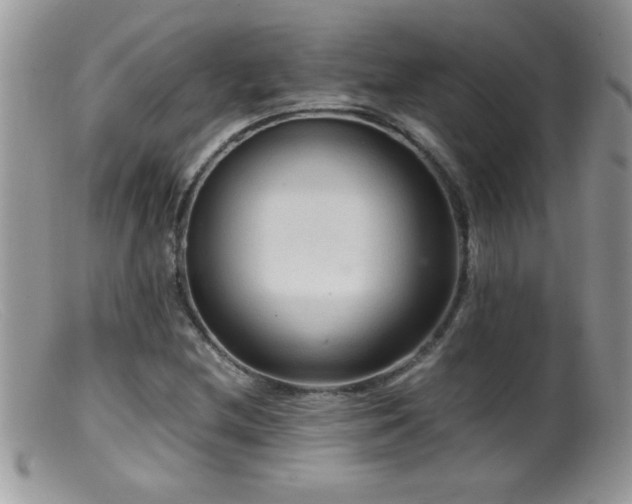 X0000099491212200805151358