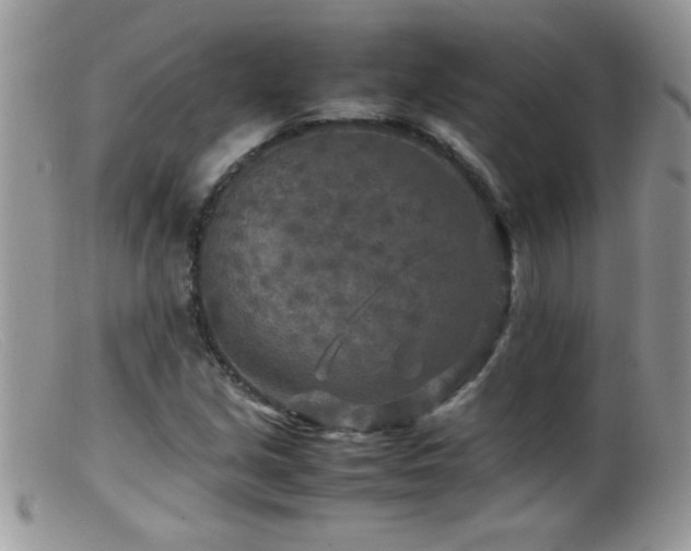 X0000099491213200805151358