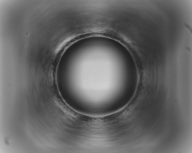 X0000099491214200805151359