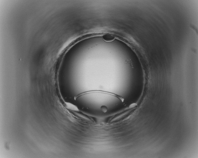 X0000099491216200805151359