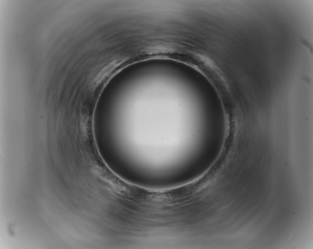 X0000099491217200805151359