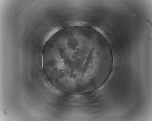 X0000099491219200805151359