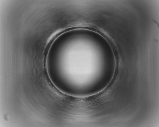 X0000099491222200805151359