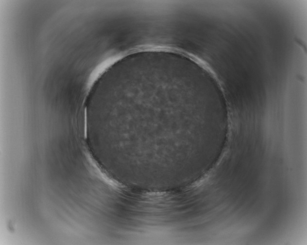 X0000099491223200805151359