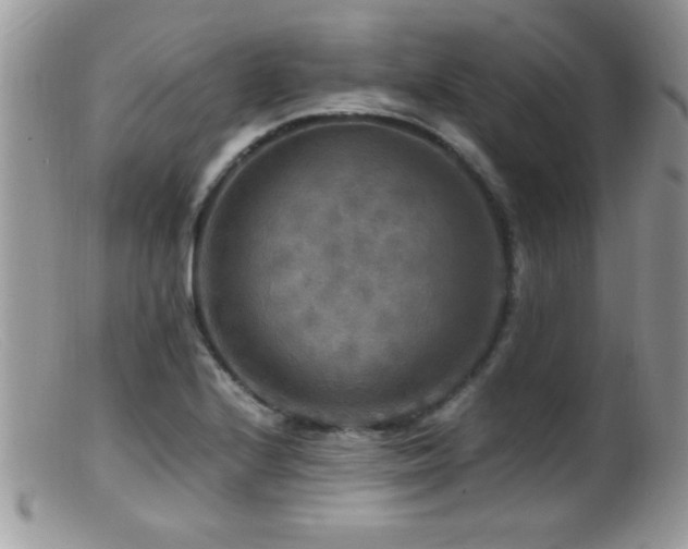 X0000099491224200805151359