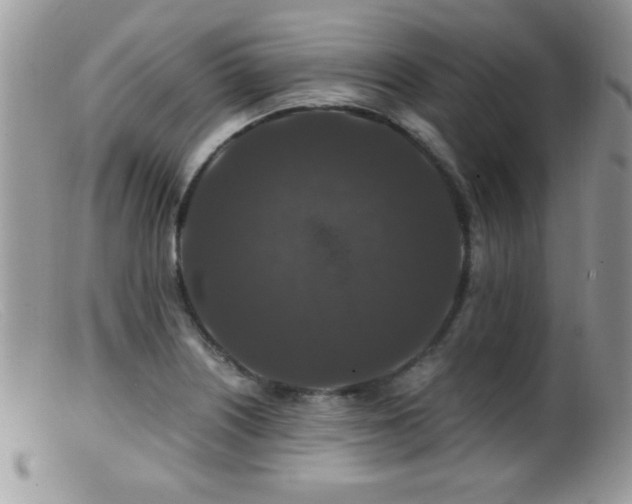X0000099491226200805151359