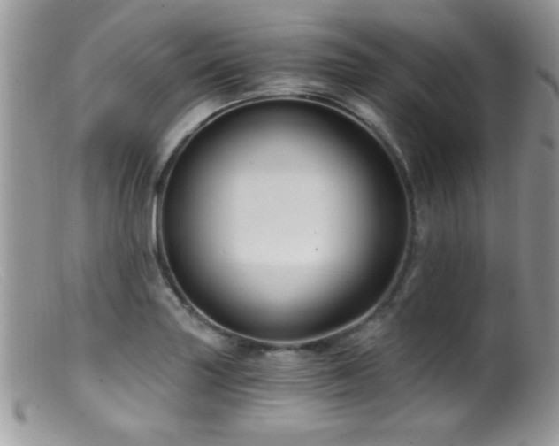 X0000099491227200805151359