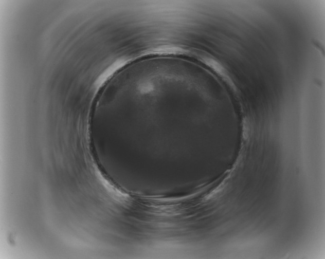 X0000099491229200805151359