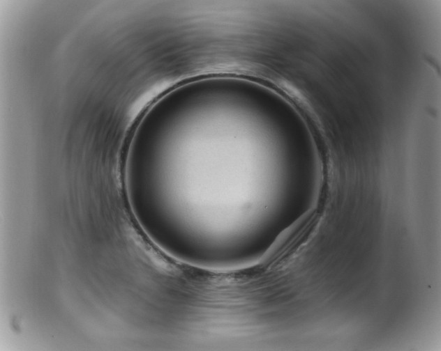 X0000099491230200805151359