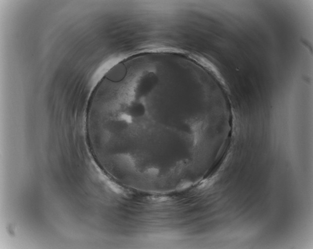 X0000099491231200805151359