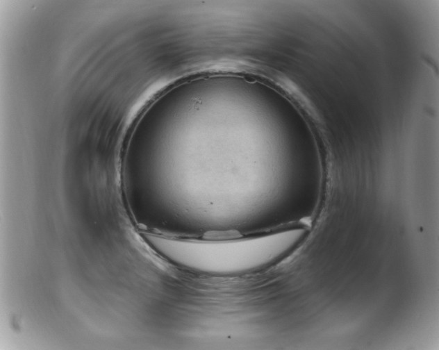 X0000099491232200805151359