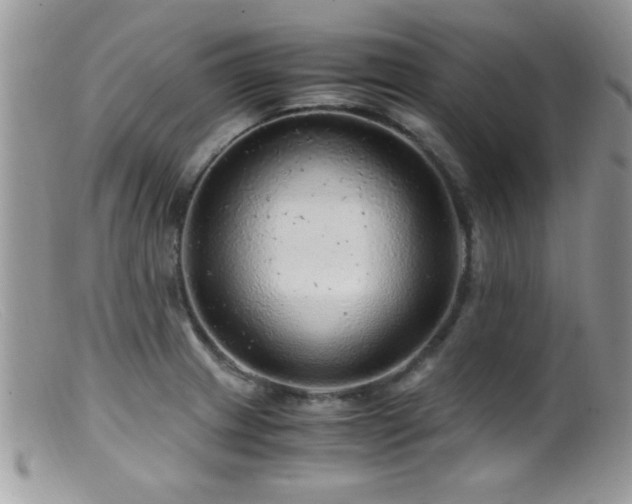 X0000099491233200805151359