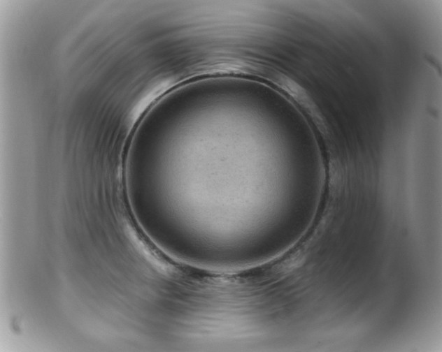 X0000099491234200805151359
