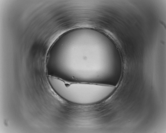 X0000099491236200805151359
