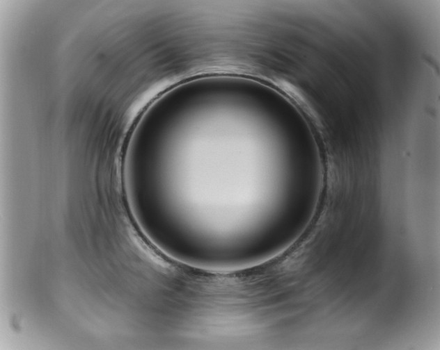 X0000099491238200805151359