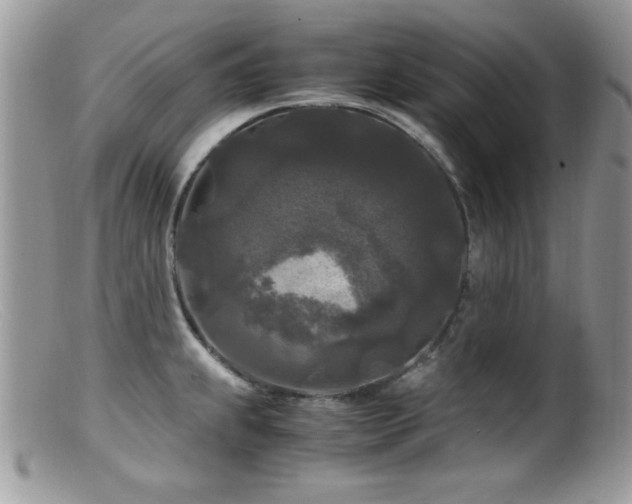 X0000099491239200805151359