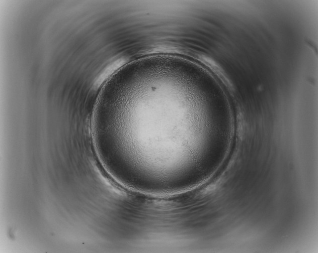 X0000099491241200805151359