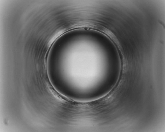 X0000099491242200805151359