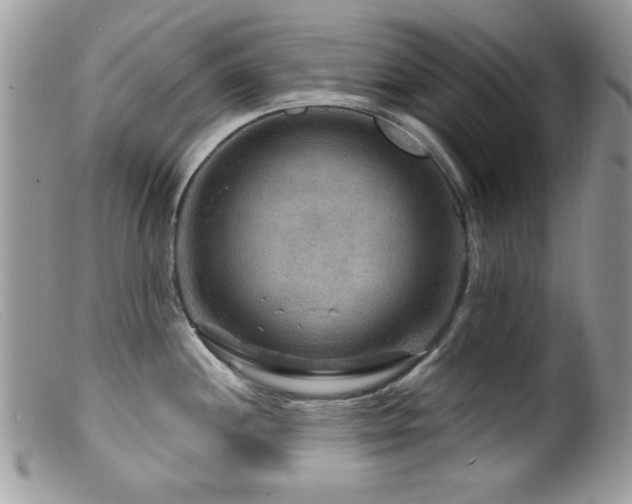 X0000099491244200805151359