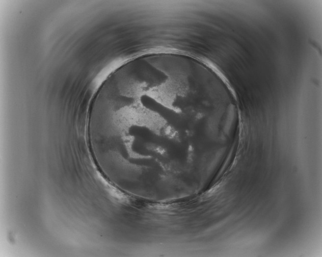 X0000099491245200805151359