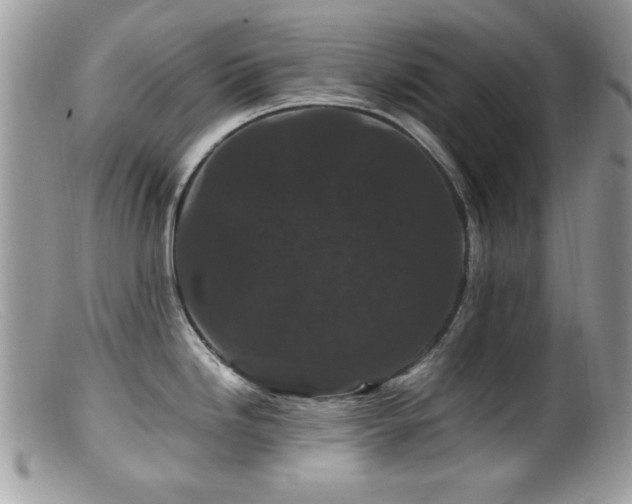 X0000099491246200805151359