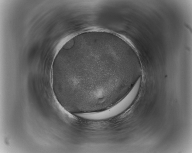 X0000099491247200805151359