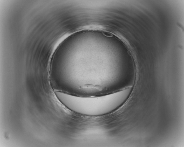 X0000099491248200805151359