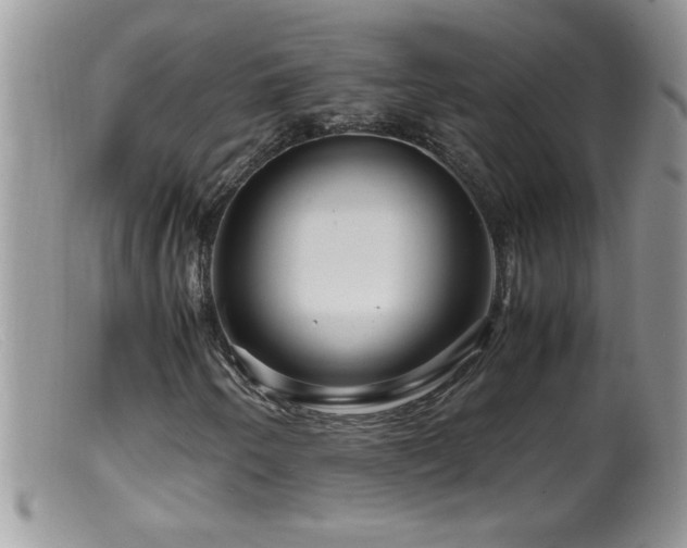 X0000099491250200805151358